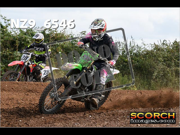 Experts-255