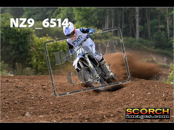 Experts-223