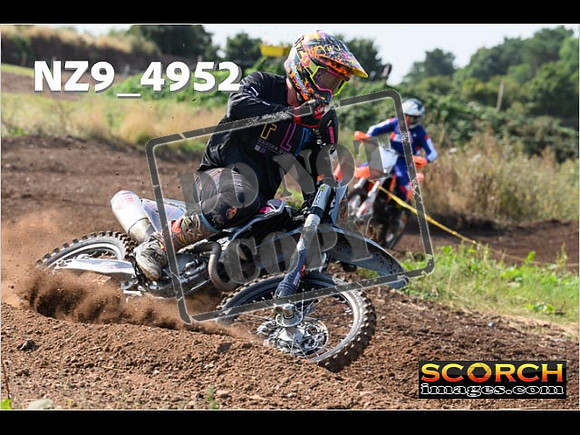 Experts-035