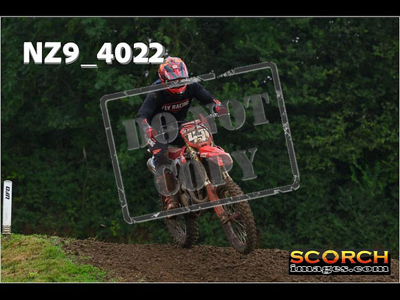 Experts-096