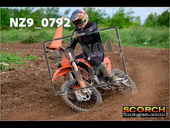 Experts-115