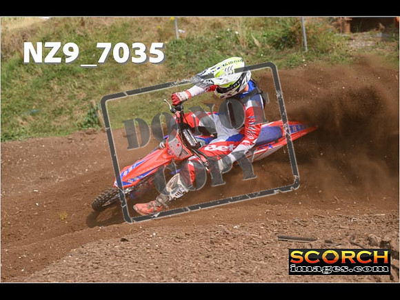 Experts-431