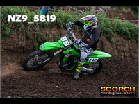 IntersGreen-011
