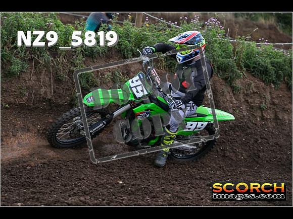 IntersGreen-011