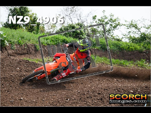 Experts-116