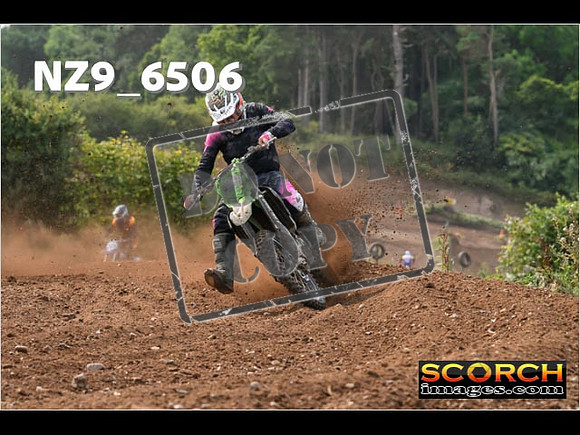 Experts-215