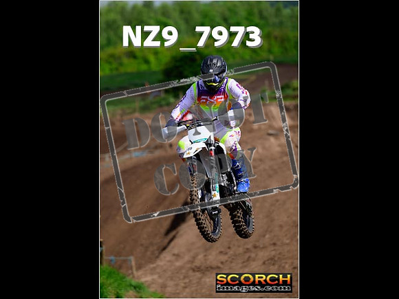 IntersGreenOrange-174