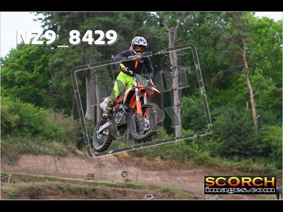 Experts-119