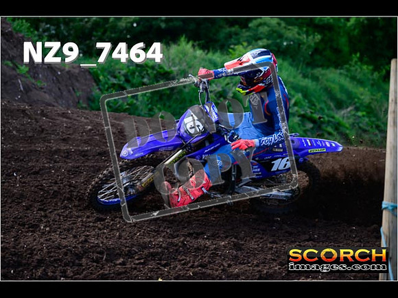 Experts-107