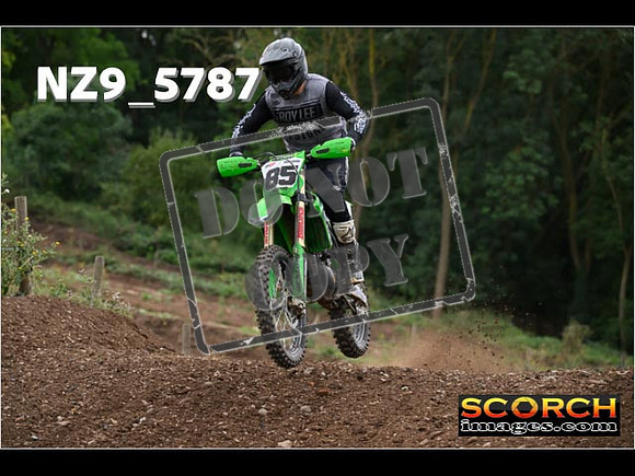 Experts-255