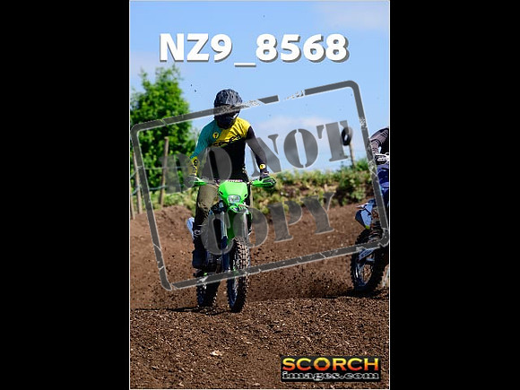IntersGreenOrange-234