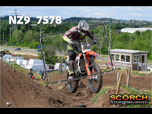 IntersGreenOrange-066