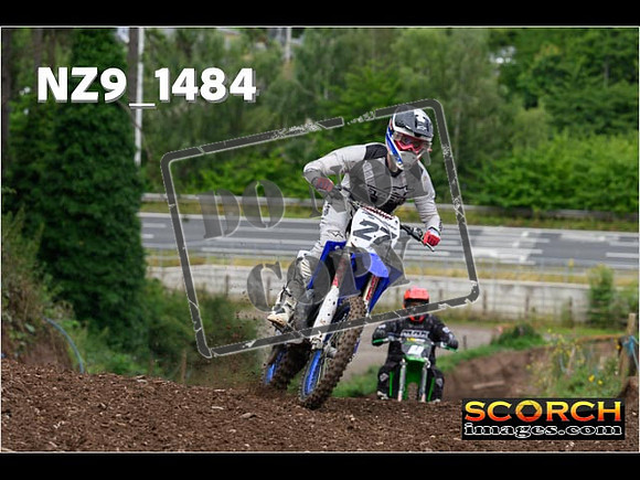 IntersGreen-117