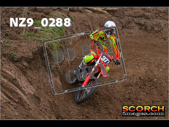 Experts-011