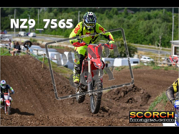 IntersGreenOrange-053