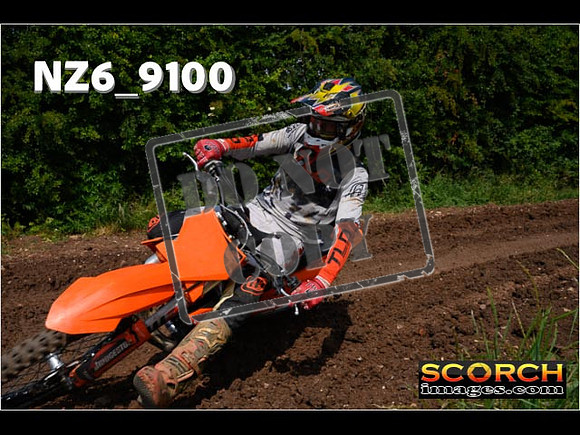 Experts-164