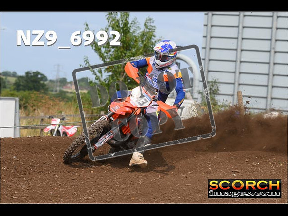 Experts-389