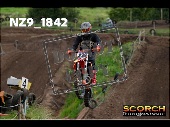 IntersGreenOrange-095