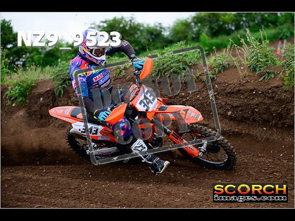 Experts-122