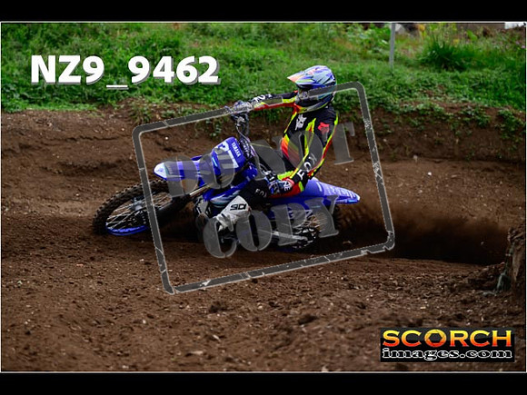 Experts-064