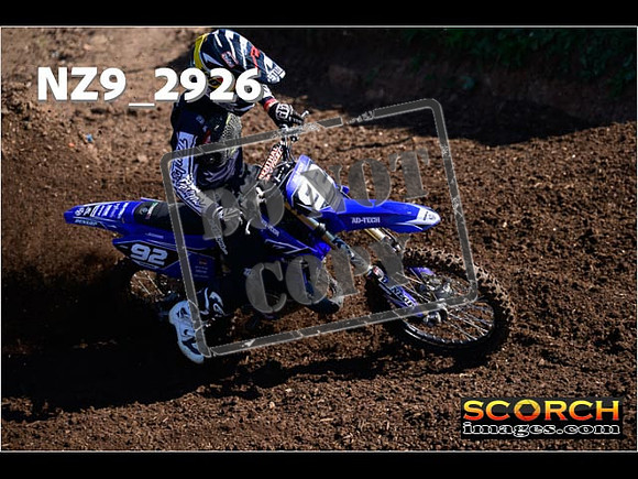 Experts-098