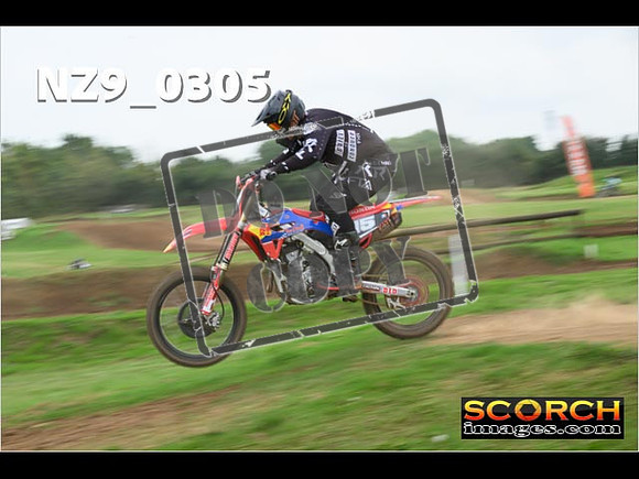 Novice-274