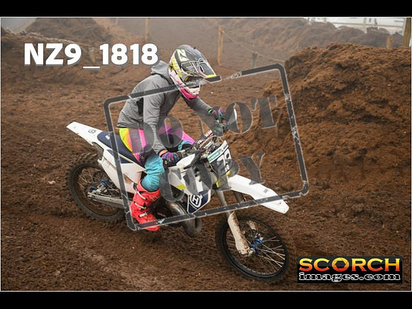 Intermediates-244