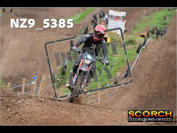 Experts-161