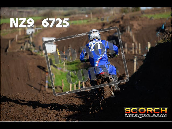 Experts-081
