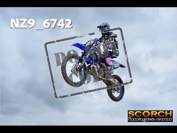 Experts-346