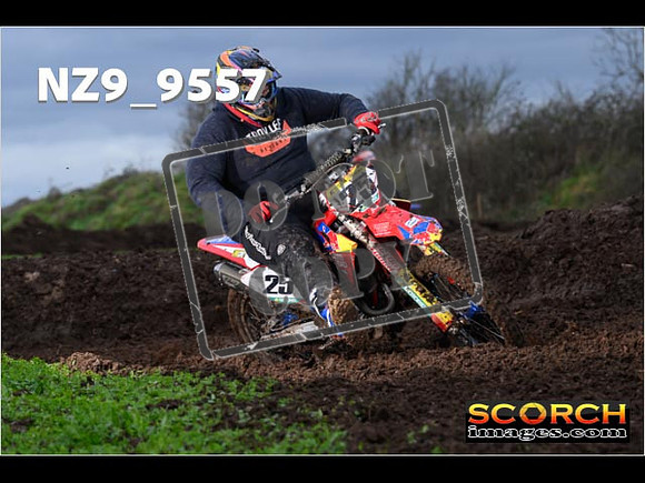 Intermediates-242