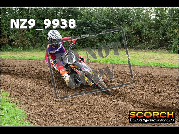 Experts-153