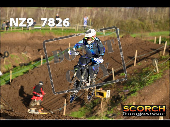 Experts-043