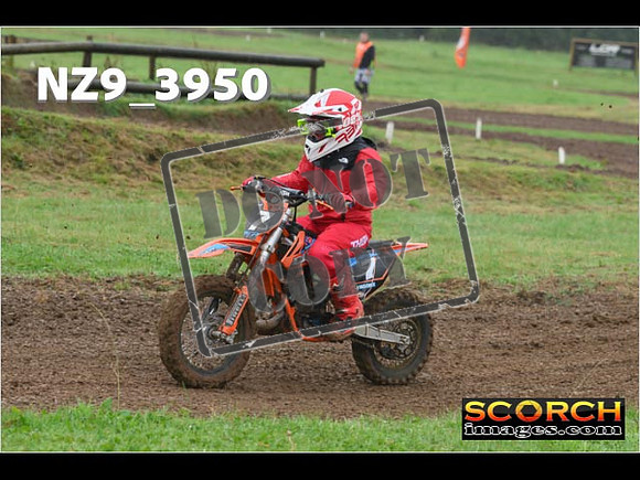 Auto65's-066