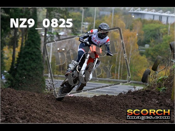 Experts-126