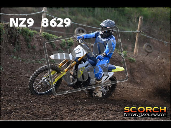 Experts-037