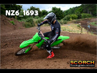 Experts-011