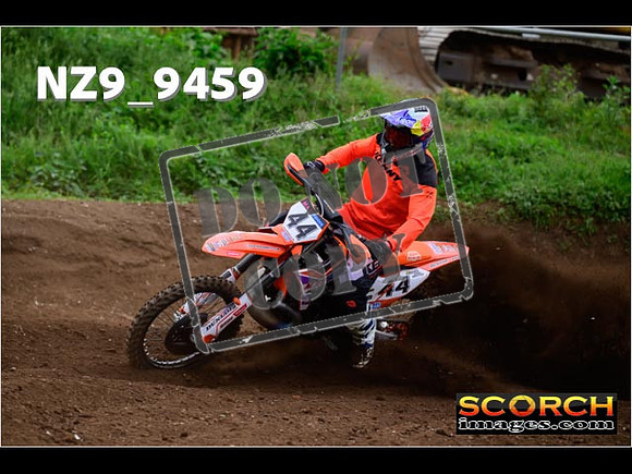 Experts-061
