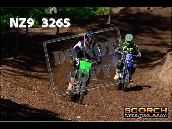 InterGreen-020