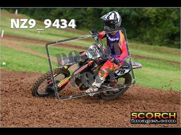 Experts-096
