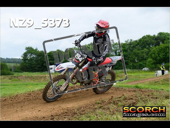 Experts-308