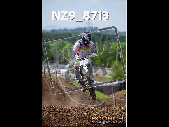 IntersGreenOrange-376