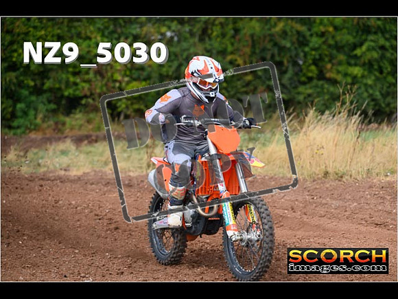 InterGreenOrange-155