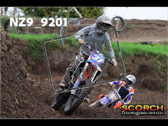 Experts-010
