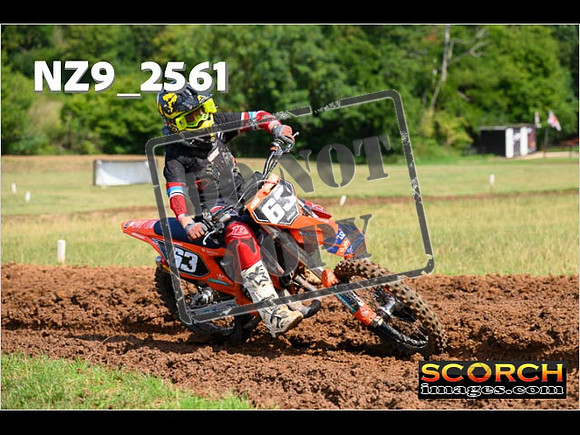 Experts-123