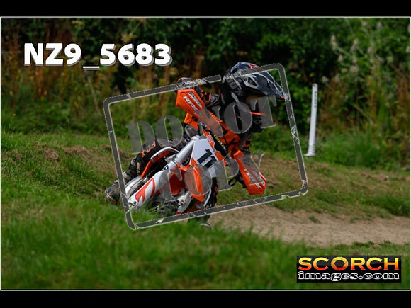 PeeWee Track-064