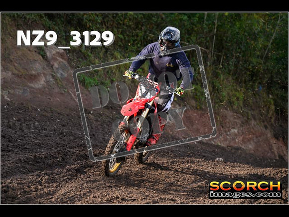 Experts-123