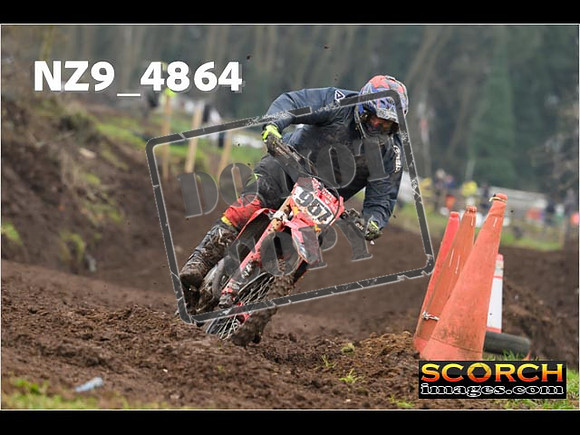 Experts-339