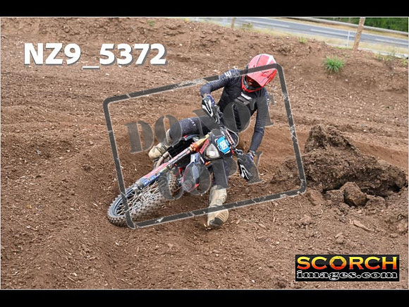 Experts-148