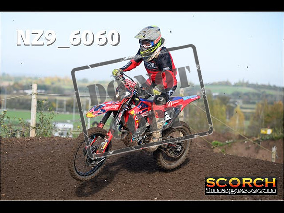 Experts-103